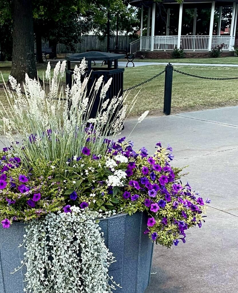 Flowers in a planter near the sidewalk, prepared by the beautification committee.